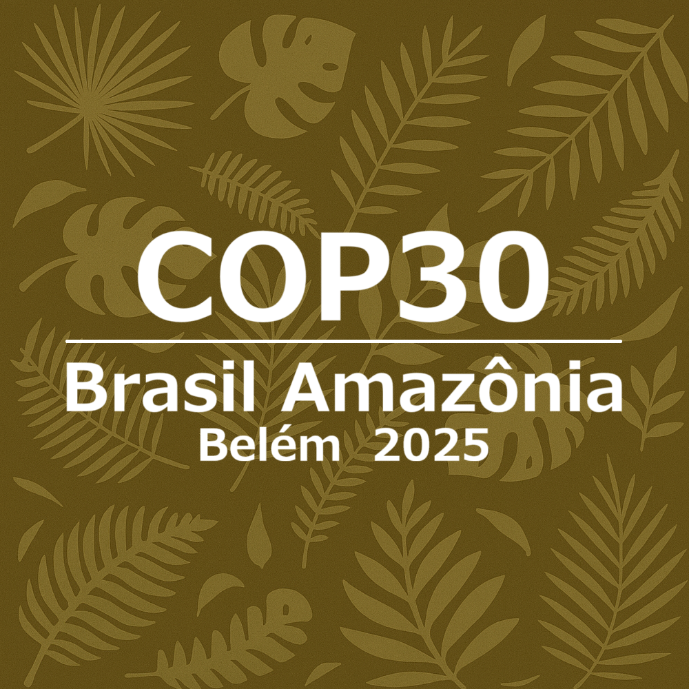 国連気候変動枠組条約第30回締約国会議（UNFCCC COP30）特集ページを公開しました。