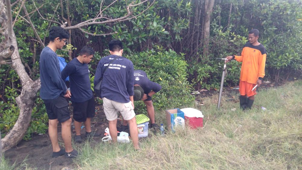 モニタリング準備中