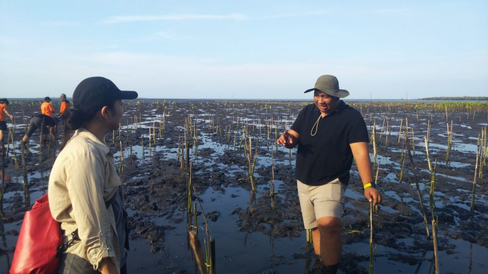 インドネシアにおけるマングローブ林再生によるカーボンクレジット事業の視察